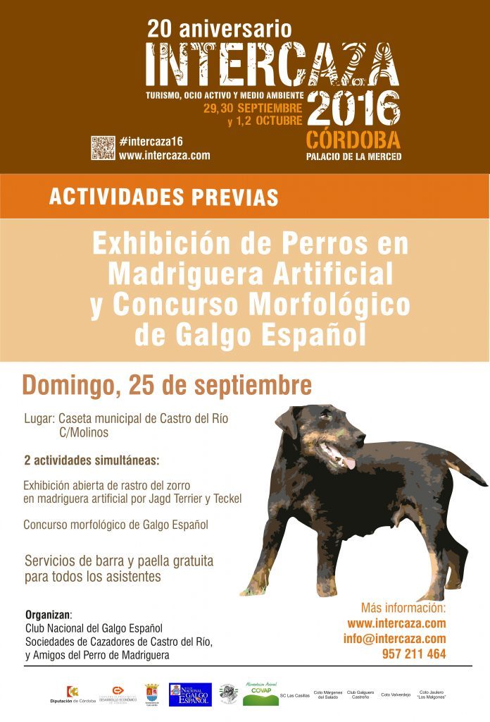 intercaza-2016-Exhibicion-de-Perros-en-Madriguera-Artificial-en-Castro-del-Río-y-Concurso-Morfologico-de-Galgo-Español